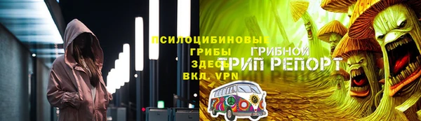 хмурый Алексин