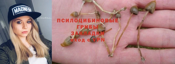 крисы Алзамай