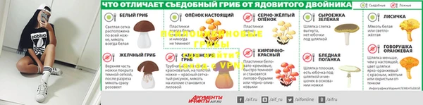 хмурый Алексин