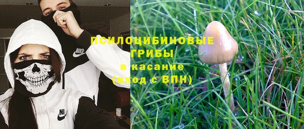 таблы Алексеевка