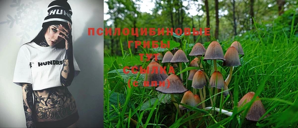 таблы Алексеевка