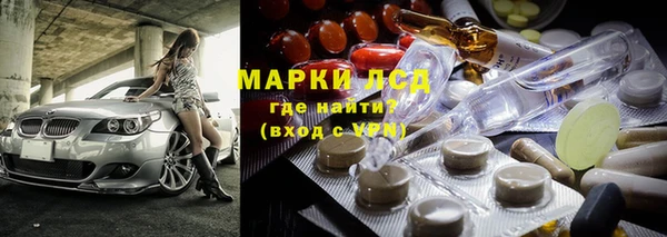 хмурый Алексин