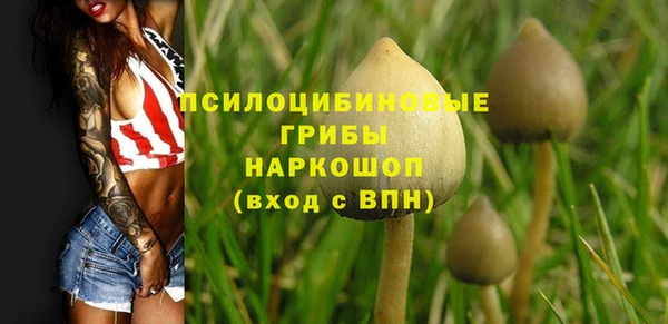 таблы Алексеевка