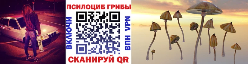 Галлюциногенные грибы Magic Shrooms  купить  цена  Енисейск 
